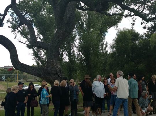 13221441_10208529149922572_545417946102165217_n