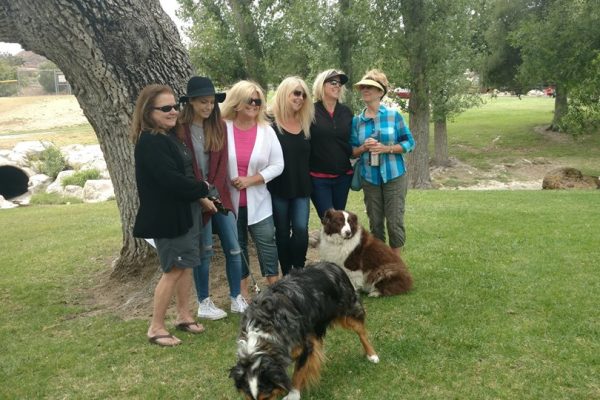 13232872_10208528808274031_8630931507231023473_n